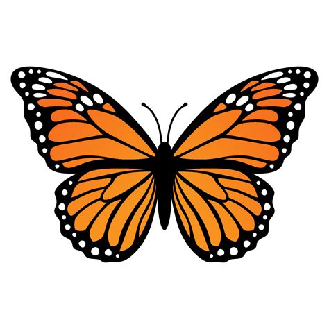 Mariposa .